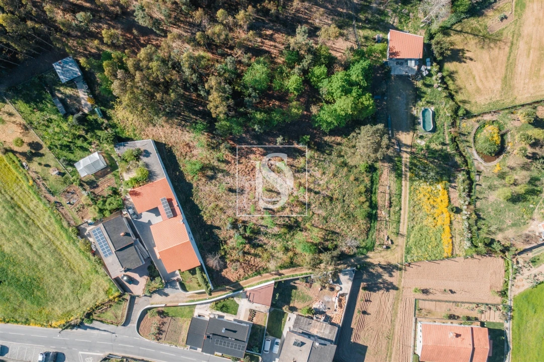 Terreno Misto para Venda em Campo e Tamel (São Pedro Fins) Foto 2