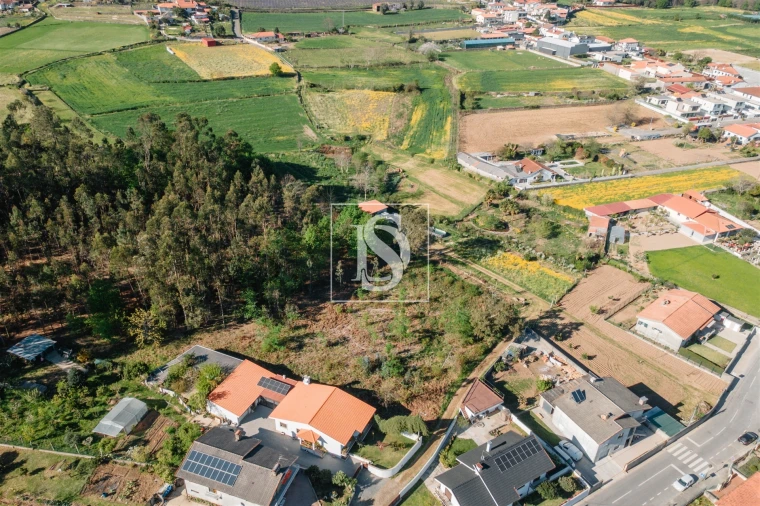 Terreno Misto para Venda em Campo e Tamel (São Pedro Fins) Foto 5