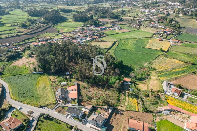 Terreno Misto para Venda em Campo e Tamel (São Pedro Fins) Foto 4