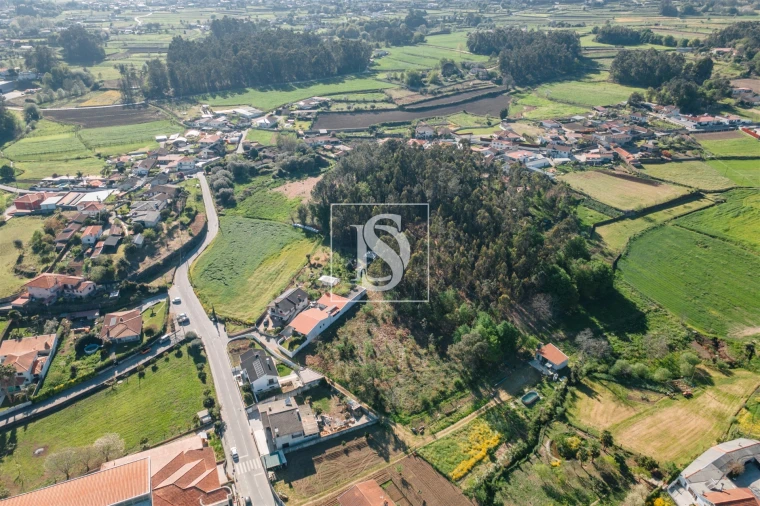 Terreno Misto para Venda em Campo e Tamel (São Pedro Fins) Foto 3