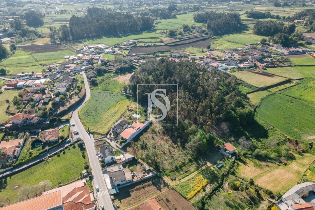 Terreno Misto para Venda em Campo e Tamel (São Pedro Fins) Foto 3