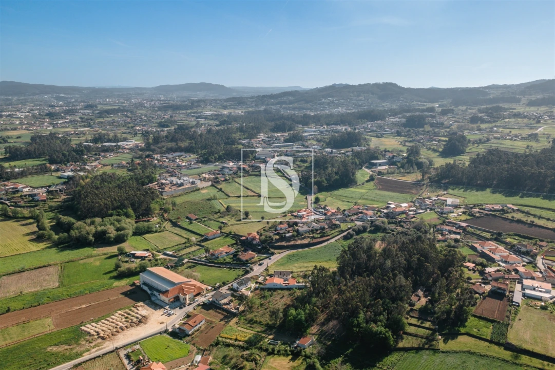 Terreno Misto para Venda em Campo e Tamel (São Pedro Fins) Foto 15