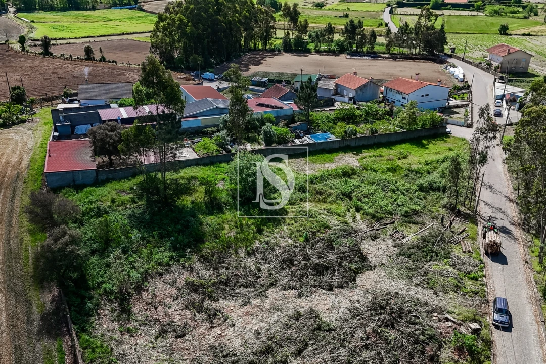 Terreno para Venda em Milhazes, Vilar de Figos e Faria Foto 12