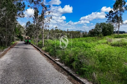 Terreno para Venda em Milhazes, Vilar de Figos e Faria