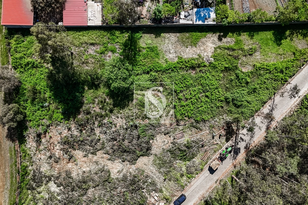Terreno para Venda em Milhazes, Vilar de Figos e Faria Foto 2