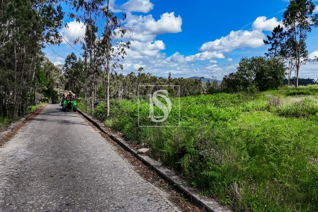 Terreno para Venda em Milhazes, Vilar de Figos e Faria Foto 18