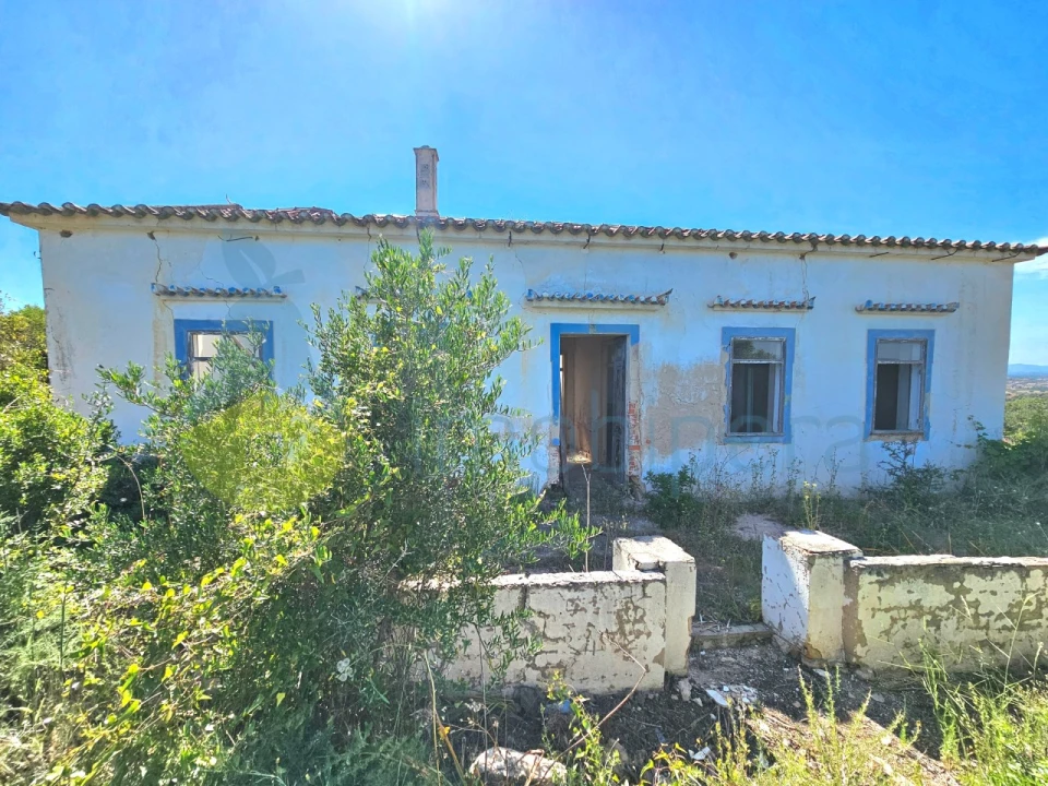 Terreno para Venda em Alcantarilha e Pêra Foto 1