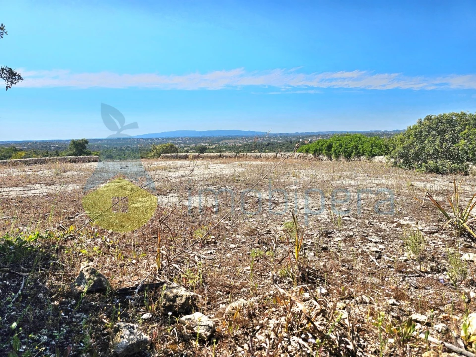 Terreno para Venda em Alcantarilha e Pêra Foto 10
