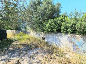 Terreno para Venda em Alcantarilha e Pêra