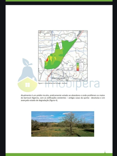 Terreno para Venda em Alcantarilha e Pêra