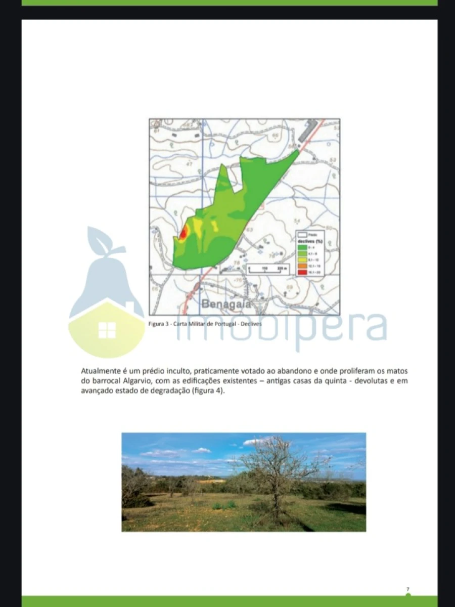 Terreno para Venda em Alcantarilha e Pêra Foto 18