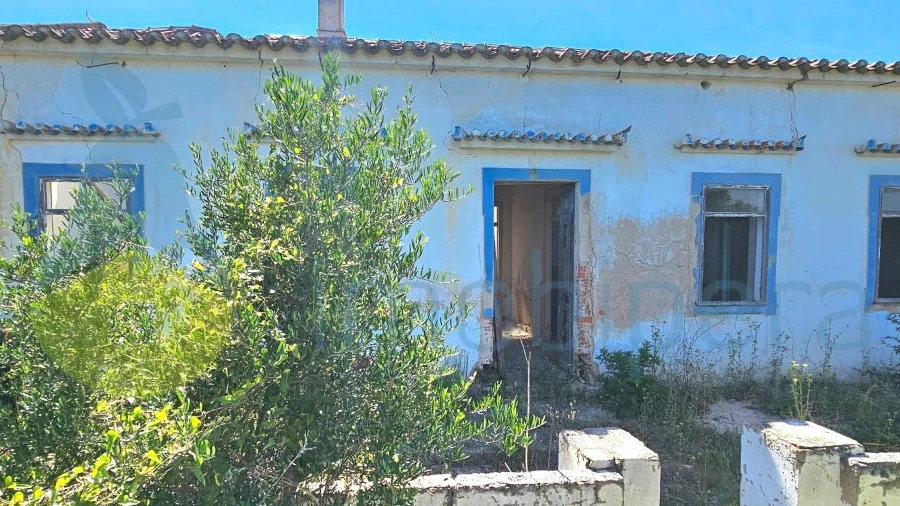 Terreno para Venda em Alcantarilha e Pêra