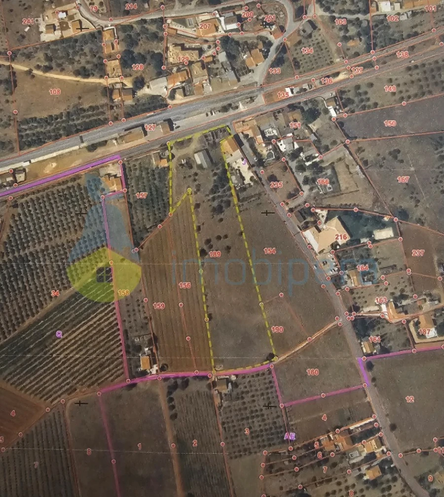 Moradia T4 para Venda em Alcantarilha e Pêra Foto 14