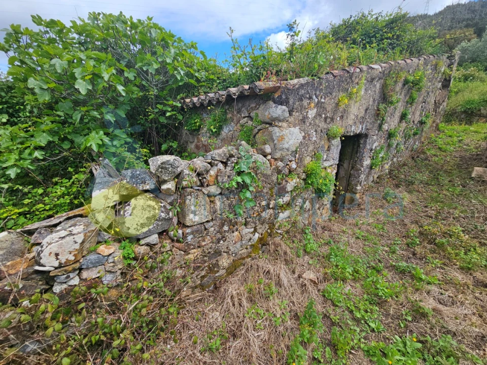 Terreno Agricola ou Rústico para Venda em Alferce Foto 3