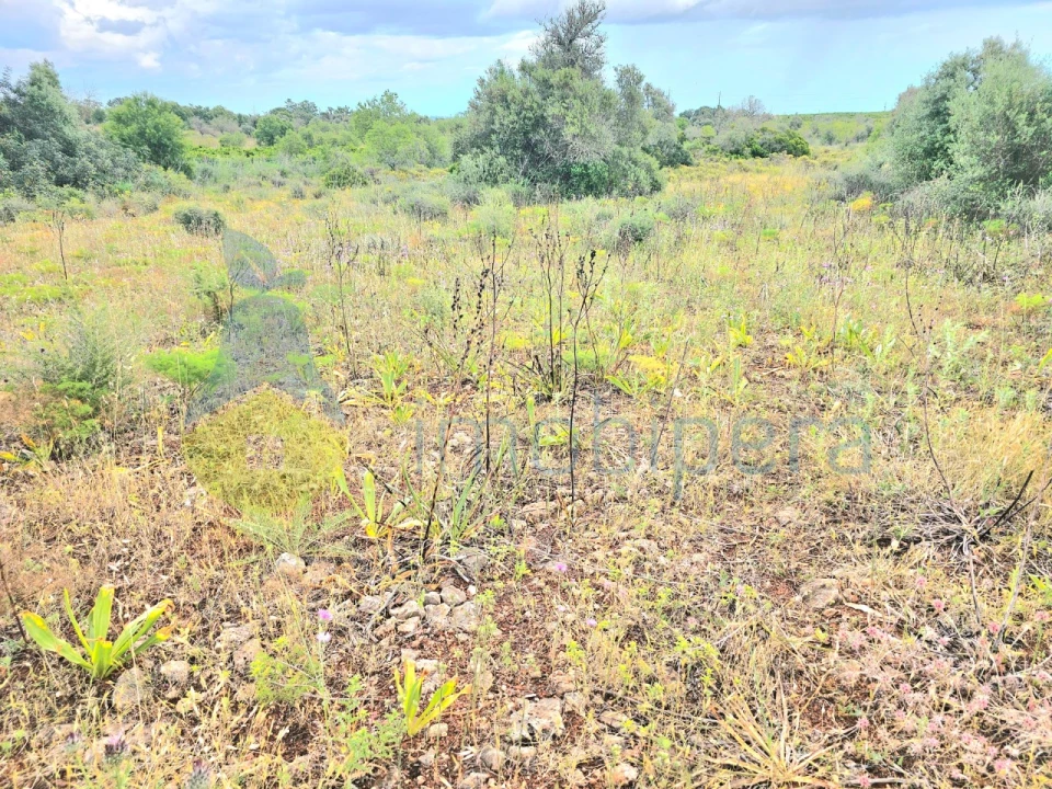 Moradia T2 para Venda em Silves Foto 8