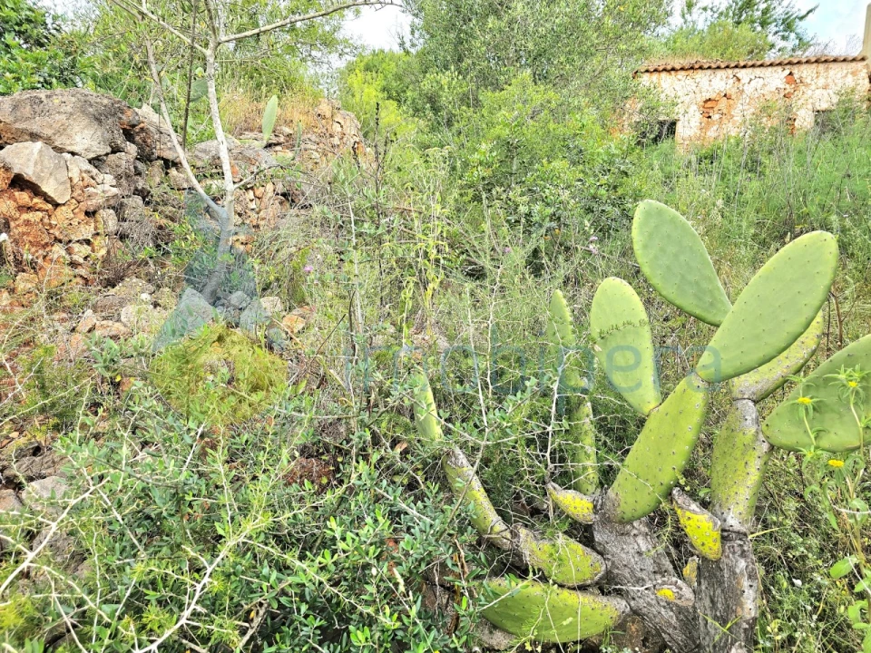 Moradia T2 para Venda em Silves Foto 3