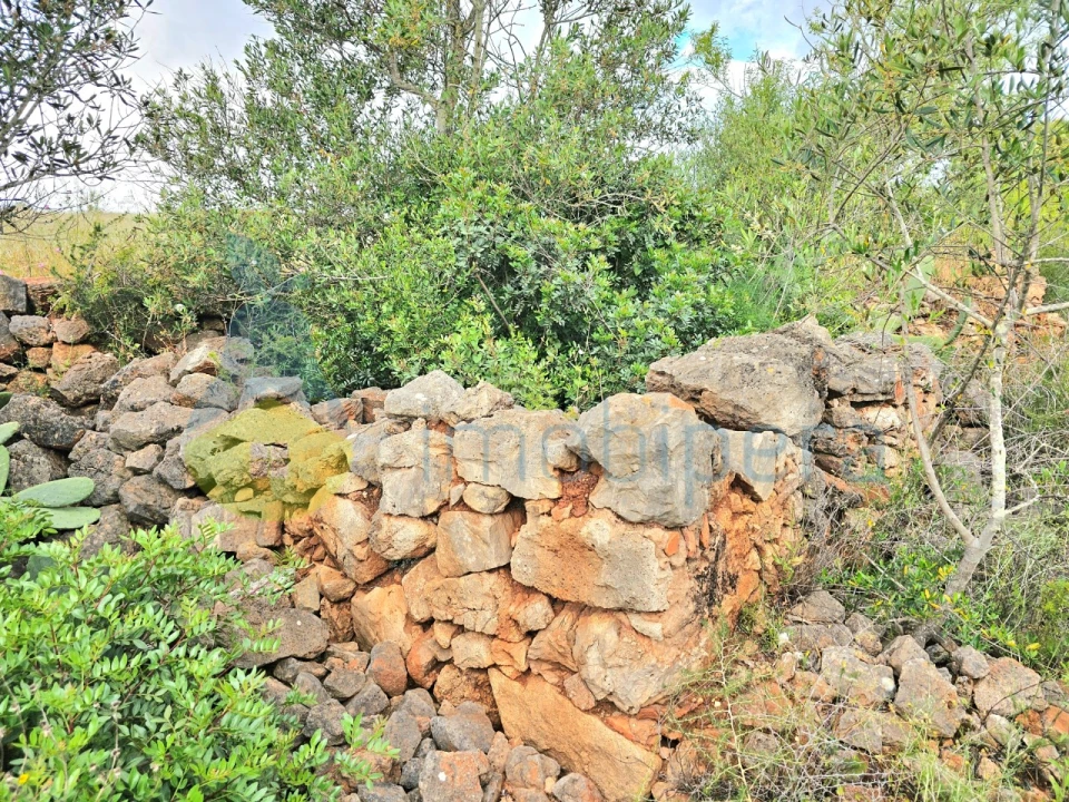 Moradia T2 para Venda em Silves Foto 4