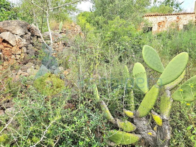 Moradia T2 para Venda em Silves Foto 3