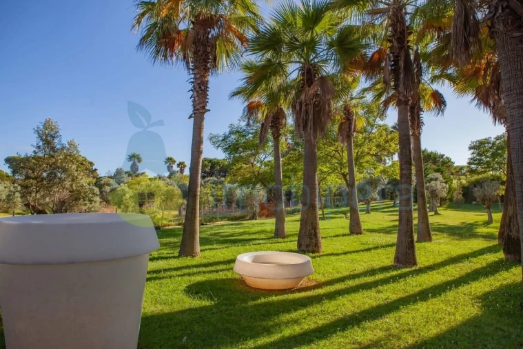 Moradia T3 para Venda em Albufeira e Olhos de Água Foto 30