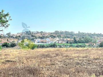 Terreno Agricola ou Rústico para Venda em Alcantarilha e Pêra