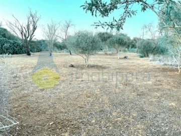 Terreno Agricola ou Rústico para Venda em Alcantarilha e Pêra