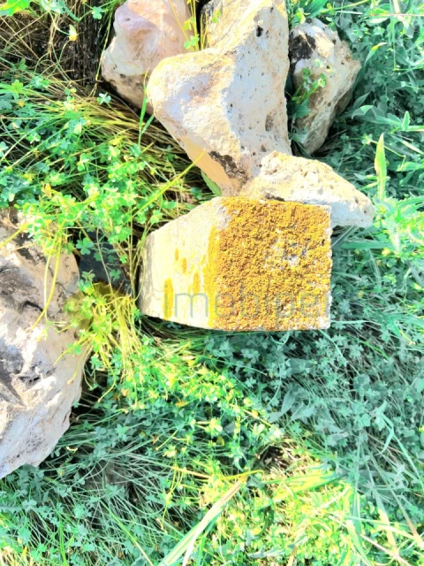 Terreno Agricola ou Rústico para Venda em Alcantarilha e Pêra