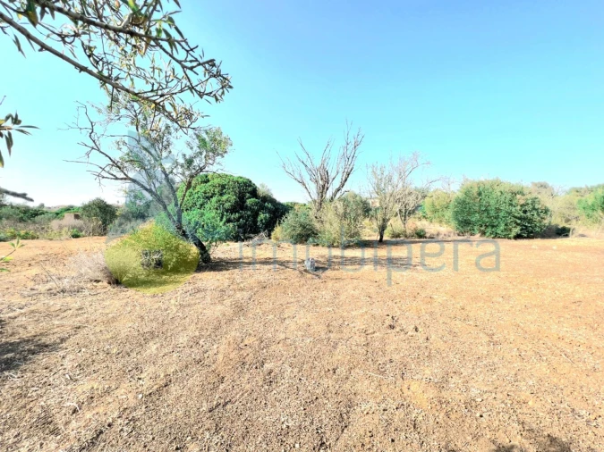 Terreno Agricola ou Rústico para Venda em Alcantarilha e Pêra Foto 6