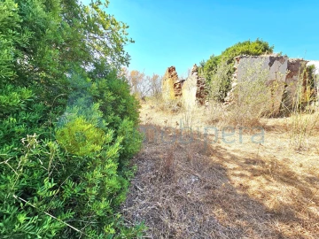 Terreno para Venda em Paderne