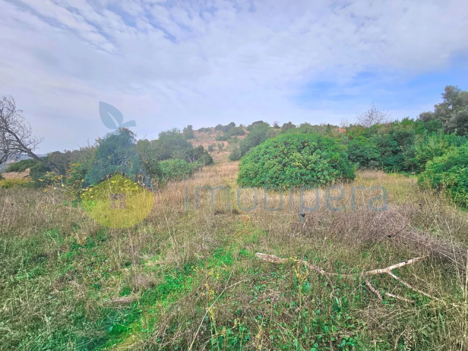 Terreno Agricola ou Rústico para Venda em São Bartolomeu de Messines Foto 8