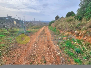 Terreno Agricola ou Rústico para Venda em São Bartolomeu de Messines