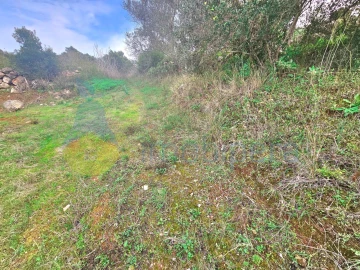 Terreno Agricola ou Rústico para Venda em São Bartolomeu de Messines
