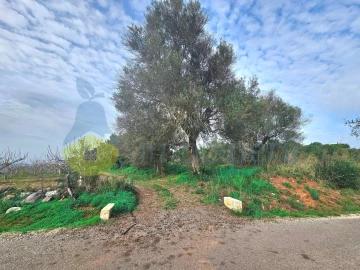 Terreno Agricola ou Rústico para Venda em São Bartolomeu de Messines