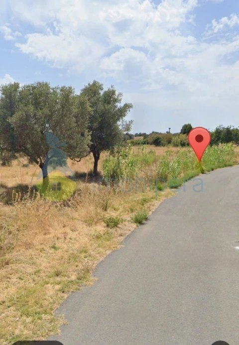 Terreno para Venda em Ferreiras