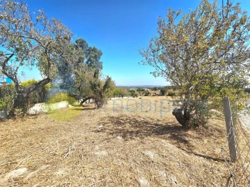 Terreno para Venda em Albufeira e Olhos de Água