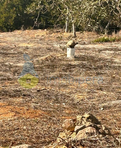Terreno para Venda em Albufeira e Olhos de Água