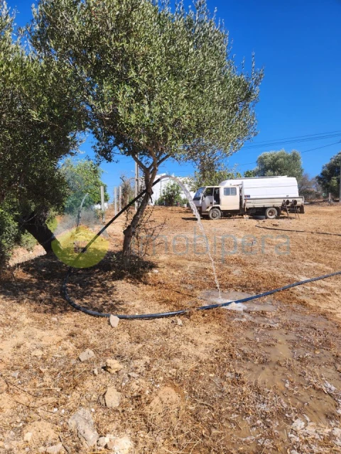 Terreno para Venda em Albufeira e Olhos de Água