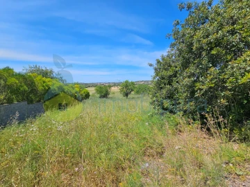 Terreno Agricola ou Rústico para Venda em Alcantarilha e Pêra