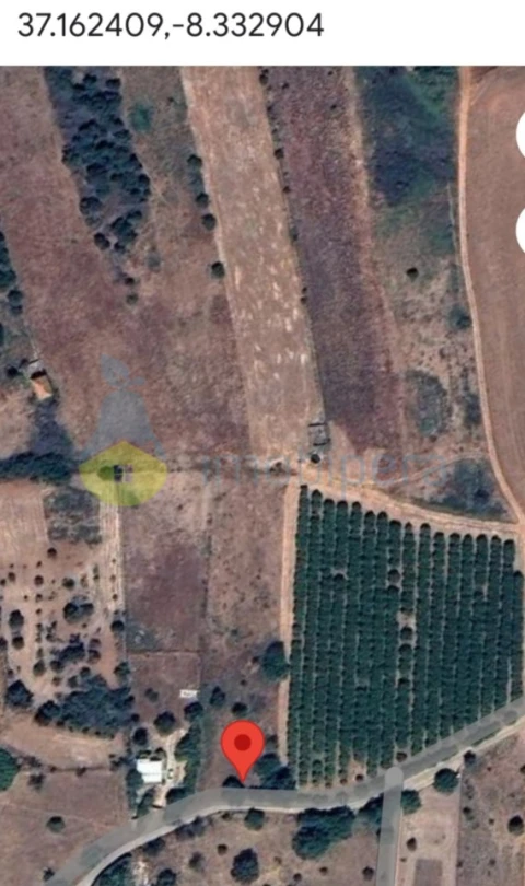 Terreno Agricola ou Rústico para Venda em Alcantarilha e Pêra