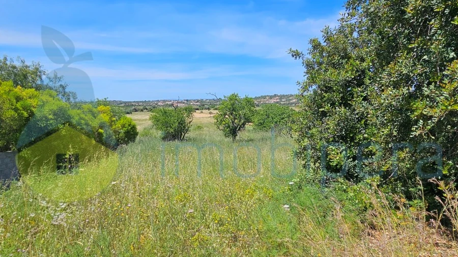 Terreno Agricola ou Rústico para Venda em Alcantarilha e Pêra