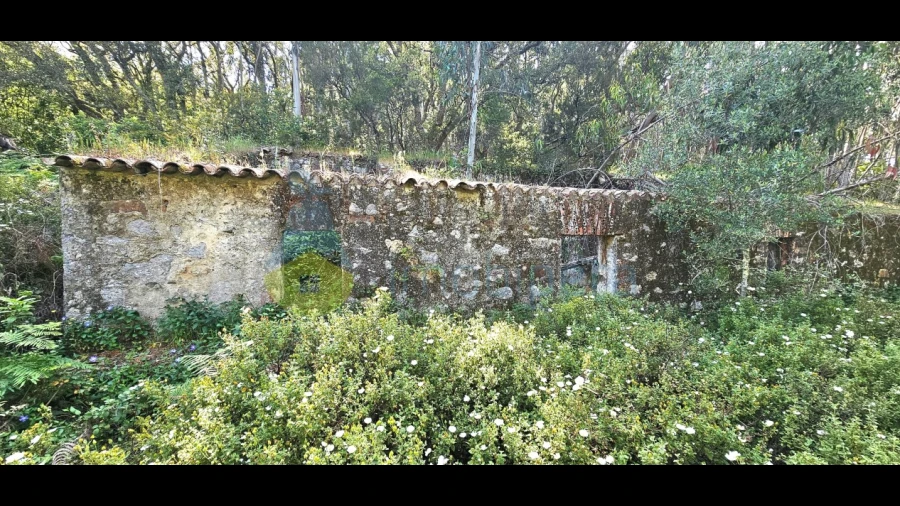 Moradia T2 para Venda em Marmelete