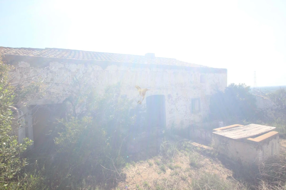 Quinta T5 para Venda em Silves Foto 37