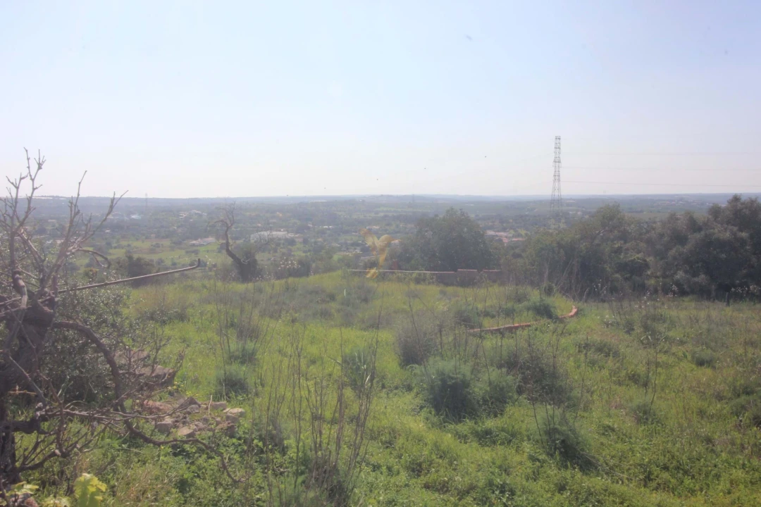 Quinta T5 para Venda em Silves Foto 36
