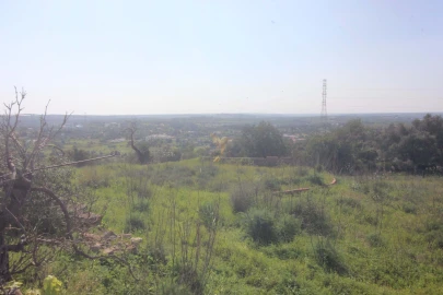 Quinta T5 para Venda em Silves