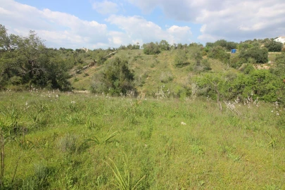 Quinta T5 para Venda em Silves