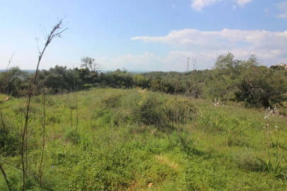 Quinta T5 para Venda em Silves