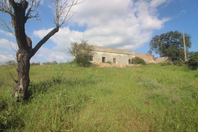 Quinta T5 para Venda em Silves