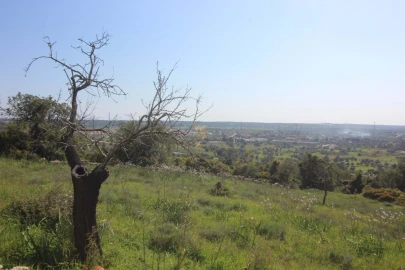 Quinta T5 para Venda em Silves