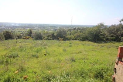 Quinta T5 para Venda em Silves