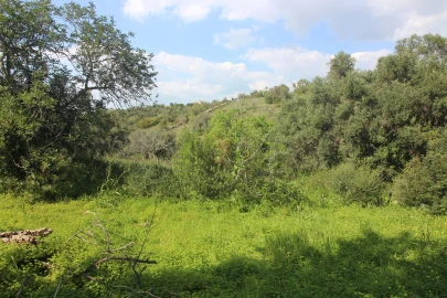 Quinta T5 para Venda em Silves
