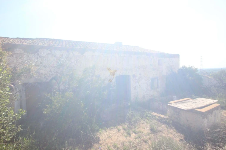 Quinta T5 para Venda em Silves Foto 37